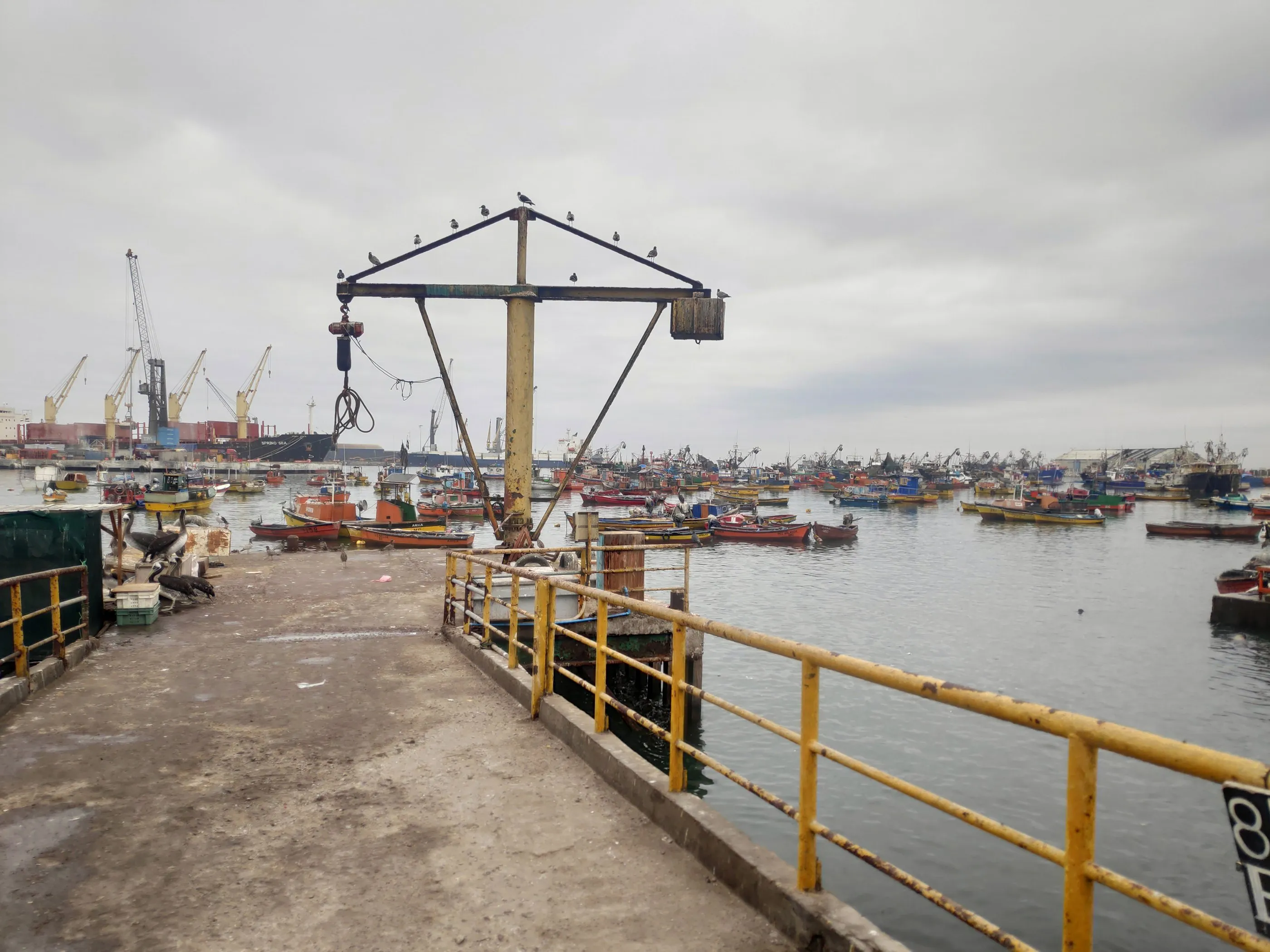 A fishing pier with a yellow railing, a crane and small boats in the harbour